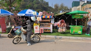 TRƯỜNG MẦM NON 20/10 TÍCH CỰC CÔNG TÁC CHUẨN BỊ  CHO LỄ HỘI HOA BAN NĂM 2025